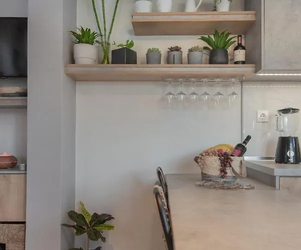 Inconceptual * باراديسيون